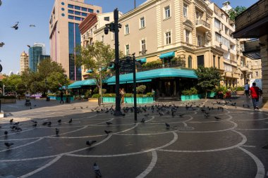 Arka planda büyük bir bina olan işlek bir şehir caddesi. Yerde bir sürü kuş var, bazıları yerden gagalıyor.