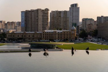 Bir grup kuş bir kentteki havuzun kenarındaki bir çıkıntıda oturuyorlar. Kuşlar, yüksek binalarla dolu olan şehre bakıyorlar. Huzurlu ve huzurlu bir sahne.