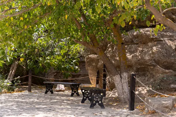 Bankı ve ağacı olan bir park. Ağaç yeşil ve yaprakları var. Park sakin ve sakin.