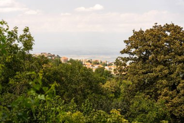 Önünde bir ağaç olan tepeden bir kasaba manzarası. Kasaba küçük ve bir sürü evi var. Gökyüzü bulutlu ve ağaçlar yeşil
