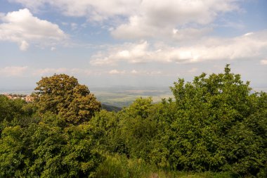 Arkasında açık mavi gökyüzü olan yemyeşil bir orman. Ağaçlar uzun ve yapraklı, ve gökyüzü bulutlarla kaplı. Huzurlu ve huzurlu bir sahne, sakin ve sakin.