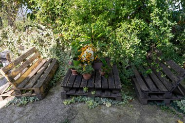 Önlerinde saksı bitkileri olan ahşap bir masada üç ahşap sandalye düzenlenir. Sandalyeler boş ve masa çiçekler ve bitkilerle kaplı. Huzurlu bir sahne.