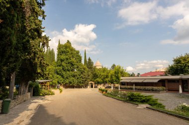 Arka planda birkaç ağaç ve bina olan sessiz bir cadde. Sokaklar boş ve gökyüzü temiz.