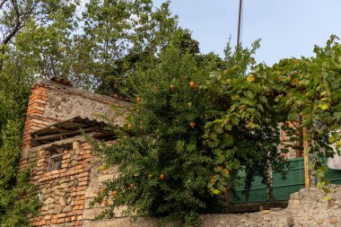 Georgie 'de bir yerlerde.