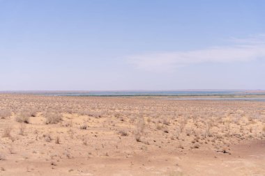 Arka planda mavi gökyüzü olan uçsuz bucaksız bir çöl. Gökyüzü açık ve güneş parlıyor.