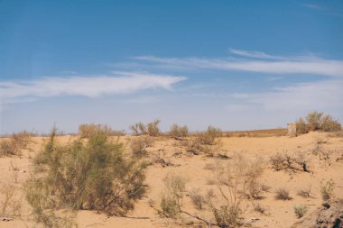 Birkaç ağaç ve bulutlu gökyüzü olan bir çöl manzarası. Gökyüzü mavi ve güneş parlıyor.