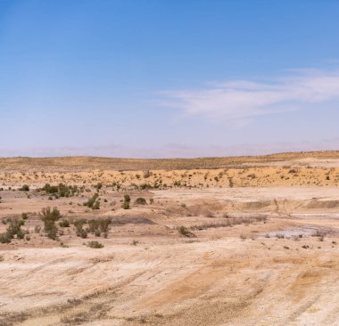 Açık mavi gökyüzü olan bir çöl manzarası. Gökyüzü bulutlarla kaplı ve güneş ışıl ışıl parlıyor. Manzara çorak ve kuru, sadece birkaç ağaç etrafa saçılmış.