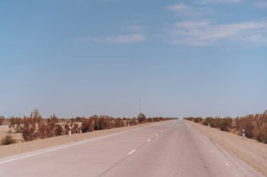 Uzakta birkaç ağacın olduğu uzun, boş bir yol. Gökyüzü açık ve mavi