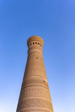 Arka planda mavi gökyüzü olan uzun bir kule. Kule tuğladan yapılmış ve benzersiz bir tasarımı var.