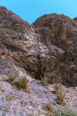 Üzerinde küçük bir ot parçası büyüyen kayalık bir dağ.