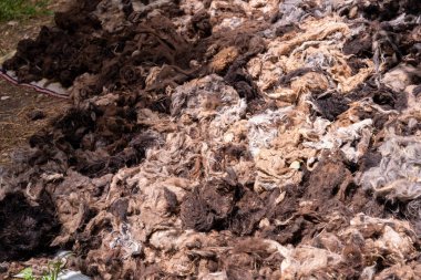 Bir yığın kirli, birbirine dolanmış yün. Yığın kahverengi ve gri ve görünüşe göre bir süredir orada duruyor.