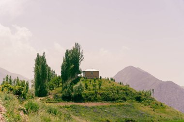Arka planda ağaçlar olan bir yamaçta küçük bir ev var. Ev yemyeşil bir araziyle çevrili, ona huzurlu ve huzurlu bir atmosfer sağlıyor.