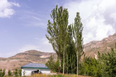 Küçük bir ev bir yamaçta bir ağacın yanında duruyor. Ev beyaz ve mavi bir çatısı var. Ağaç uzun ve yeşildir. Gökyüzü mavi ve bazı bulutlar var. Huzurlu ve huzurlu bir sahne.