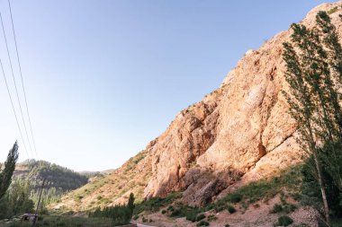 Açık mavi gökyüzü ve birkaç ağacı olan bir dağ.