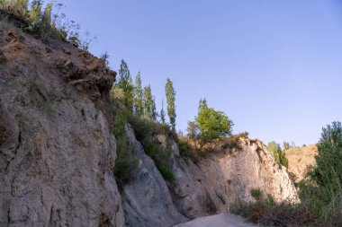 Önünde ağaç olan kayalık bir yamaç. Gökyüzü açık ve mavi
