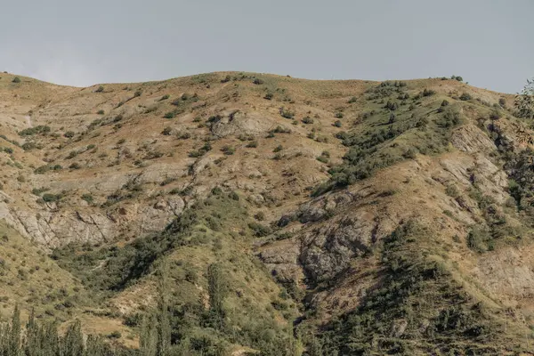 Kayalık arazisi ve birkaç ağacı olan bir dağ. Gökyüzü açık ve güneş parlıyor.