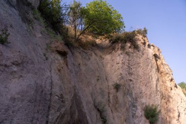 Üzerinde ağaç olan kayalık bir uçurum. Ağaç küçük ve yeşildir. Gökyüzü mavi ve berrak