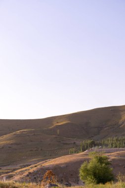 Açık mavi gökyüzü ve birkaç ağacı olan güzel bir manzara. Gökyüzü çok parlak ve güneş parlıyor.