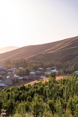 Önünde küçük bir köy olan bir dağ manzarası. Evler ahşaptan yapılmış ve teneke çatıları var. Ağaçlar yemyeşil, gökyüzü açık ve mavidir. Huzurlu ve huzurlu bir sahne.
