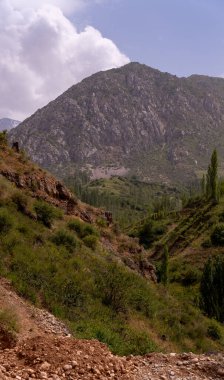Arka planda bulutlu bir gökyüzü olan bir dağ sırası. Dağlar yemyeşil bir bitkiyle örtülmüş, ağaçlar da ön planda.