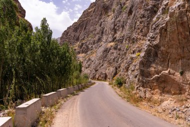 Arka planda dağ olan bir yol. Yol boş ve ağaçlar yeşil.