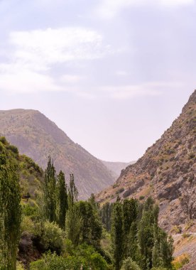 Arka planda bulutlu bir gökyüzü olan bir dağ sırası. Dağlar ağaçlarla çevrili, gök de bulutlarla çevrili.