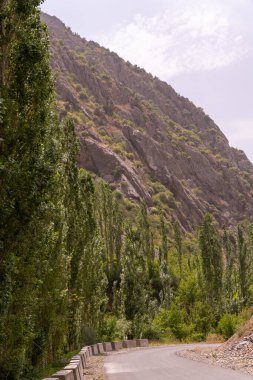 İçinden yol geçen bir dağ sırası. Yol ağaçlarla kaplı ve gökyüzü bulutlu.