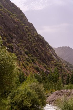 Yanı orman olan bir dağ sırası. Ağaçlar yeşil ve gökyüzü bulutlu