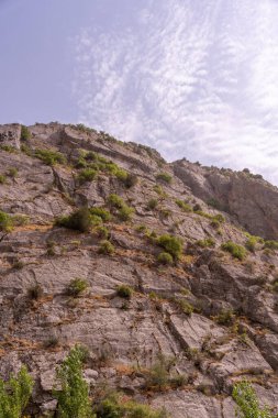 Üzerinde birkaç ağaç olan kayalık bir dağ. Gökyüzü açık ve mavi