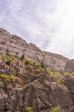 Üzerinde birkaç ağaç olan kayalık bir dağ. Gökyüzü açık ve güneş parlıyor.