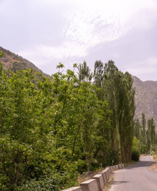 Her iki tarafında ağaçlar olan ve arkasında bulutlu bir gökyüzü olan bir yol.