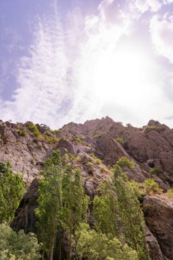 Ağaçları ve bulutlu gökyüzü olan bir dağ. Gökyüzü mavi ve güneş parlıyor.