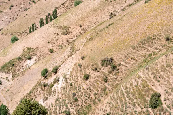 Kuru, çorak bir yamaçta seyrek bitki örtüsü. Yokluk ve boşluk kavramı