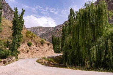 Yan tarafında ağaç olan bir yol.