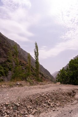 Önünde yalnız bir ağaç olan bir dağ sırası. Gökyüzü bulutlu ve güneş parlıyor
