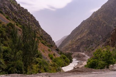 İçinden nehir akan bir dağ sırası. Dağlar ağaçlarla kaplı ve nehir vadiden akıyor. Gökyüzü bulutlu ve görüntünün genel havası huzurlu.