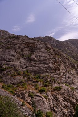 Üzerinde kayalık bir uçurum ve yeşil bir ağaç olan bir dağ. Gökyüzü mavi ve güneş parlıyor.