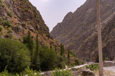 İçinden yol geçen bir dağ sırası. Yol ağaçlar ve kayalarla çevrili. Huzurlu ve huzurlu bir sahne.