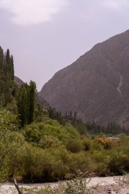 Ağaçları ve nehri olan bir dağ sırası. Ağaçlar yeşil ve gökyüzü bulutlu