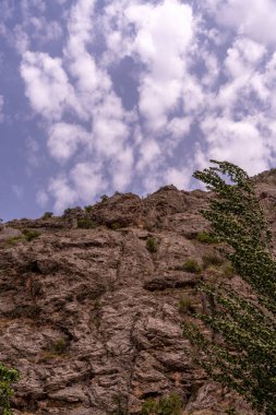 Bulutlu bir gökyüzü ve yanında bir ağaç olan bir dağ. Gökyüzü mavi ve bulutlar beyaz