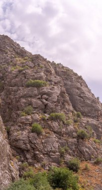 Üzerinde birkaç ağaç büyüyen kayalık bir dağ. Gökyüzü bulutlu ve dağ kayalarla kaplı.