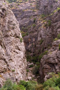 Ortasında küçük bir vadi olan kayalık bir dağ. Vadi ağaçlar ve çalılarla dolu.