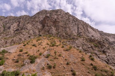 Kayalık bir yamacı ve birkaç ağacı olan bir dağ. Gökyüzü bulutlu ve güneş parlıyor