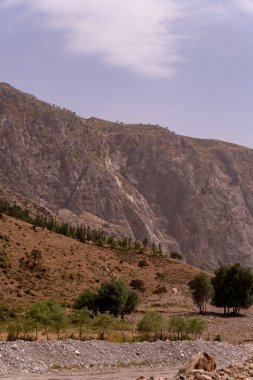 Birkaç ağacı ve küçük bir deresi olan bir dağ sırası. Gökyüzü açık ve güneş parlıyor.