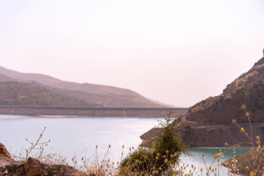 Uzakta bir köprüsü olan güzel bir göl manzarası. Gökyüzü bulutlu ve su sakin.