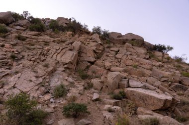 Birkaç ağaç ve çalısı olan kayalık bir yamaç. Gökyüzü mavi ve güneş batıyor.