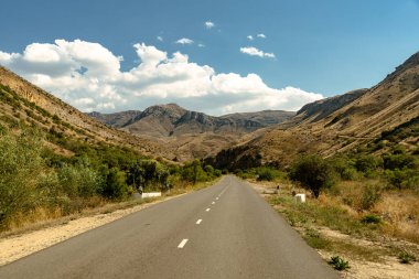 Yan tarafında birkaç ağaç ve açık mavi gökyüzü olan bir yol. Yol boş ve üzerinde hiç araba yok.