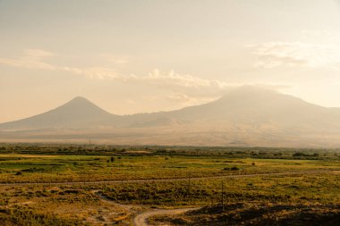Uzakta bir dağ sırası görülebilir, tarlanın ortasından geçen bir yol var. Gökyüzü bulutlu, ortama biraz karamsar bir hava katıyor.