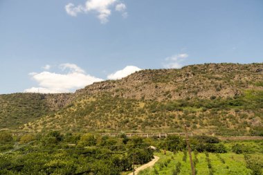 İçinden tren geçen yemyeşil bir yamaç. Tren ağaçlar ve bitkilerle çevrili bir raydadır. Gökyüzü açık ve mavidir, ve güneş parlıyor. Huzur dolu bir sahne.