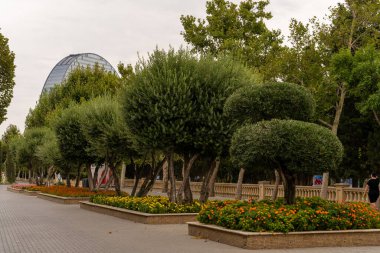 Arkasında büyük bir bina olan bir park. Ağaçlar küçük şekillerde budanmış. Parkta çiçekler var.